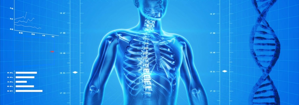 Generalist a Generalist Plus